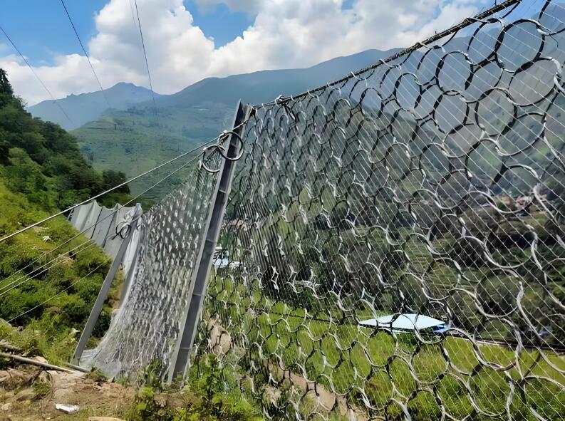 	被动防护网